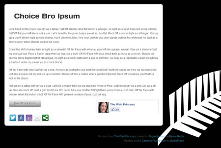 Choice Bro Ipsum